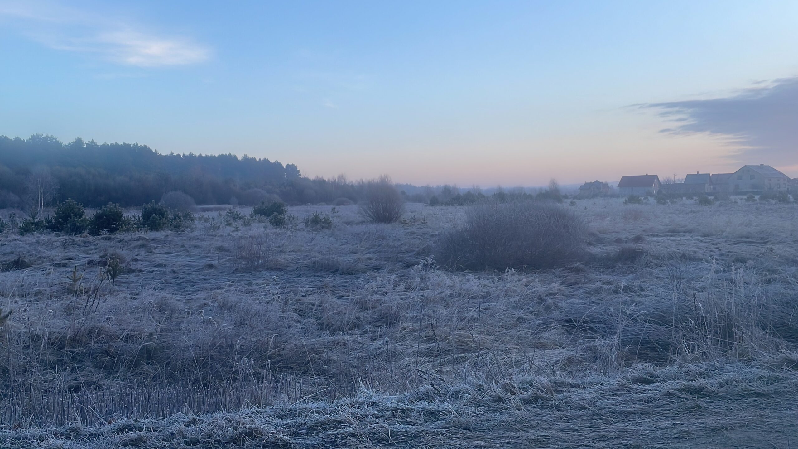 Winter, Wars, and More